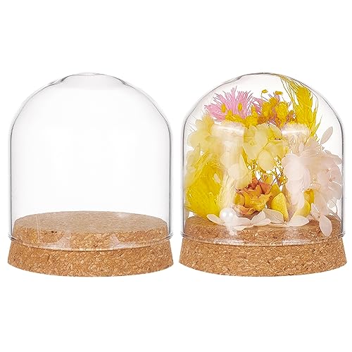 BENECREAT 2 Set Glass Display Dome with Cork Base, 3.1x2.8 inch Tabletop Centerpiece Cloche Bell Jar for Flower Plants, Specimens, Crafts Decorations, Inner Diameter: 76mm