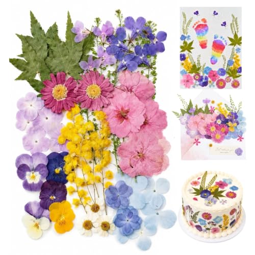 Real Dried Pressed Flowers for Crafts, 50 Pcs Dried Flowers for Resin - color: Spring