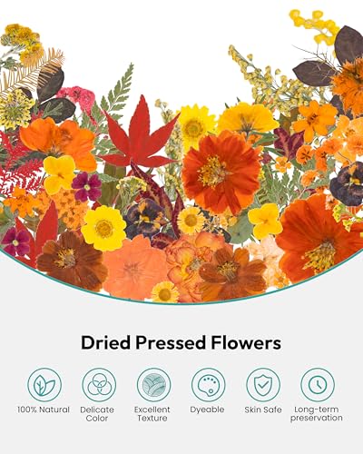 Dried Flowers, Resiners 100Pcs Pressed Flowers for Craft Real Natural Dried Flowers Dry Leaves Kit for DIY Making Crafts Resin Soap Candle Scrapbook Supplies Card Making Jewelry - color: Fall Color 100pcs