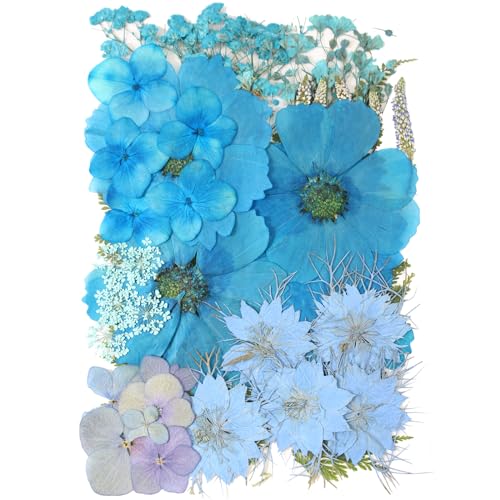 10 Types 50PCS Pressed Dried Flowers for Resin Molds,Real Natural Dried Flowers for Making Mobile Phone Case Candle Handmade Crafts Pendant Necklace Jewelry DIY Accessories - color: Blue