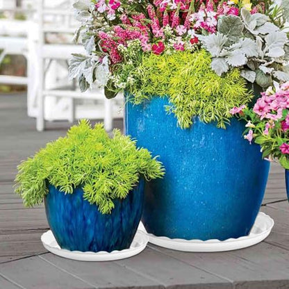 15 Pcs Plastic White Round Wave Plant Saucer,6 Inch/8 Inch/10 Inch,Durable Duty Flower Plant Pot Drip Tray Container for Home Garden Indoor and Out Door Plant - color: White