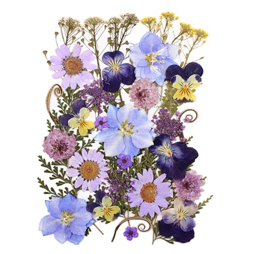 33pcs Dried Pressed Flowers for Crafts Resin DIY Art Natural Dry Floral Pansy Daisy Colorful Epoxy Jewelry Real Album Frame Decor Cakes Bookmarks Phone Cases Candles Handmade Soap Papermaking