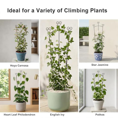 31.5 Inch Trellis for Potted Plants, Metal Plant Trellis for Climbing Plants, Plant Support for Ivy, Monstera, Hoya, Indoor & Outdoor Houseplant Trellis, Black, 1 Pack - size: 1 Pack/31in