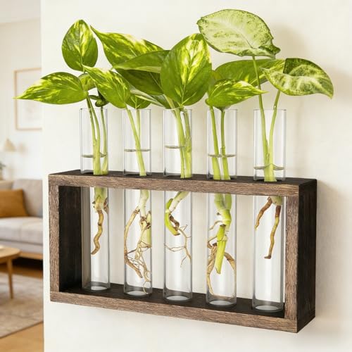 Plant Station Propagation with 5 Test Tube Vases - Vintage Hanging Plant Pot Holder, Desktop Terrarium & Windowsill Decor for Garden and Office Decoration