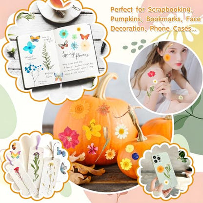 235 Pcs Pressed Dried Flowers for Resin, Natural Real Dried Pressed Flowers for Crafts, Bulk Dry Flowers for Resin Molds, Candles, DIY Art Jewelry Making with Tweezers Butterfly Stickers Set Decorate - size: 235 Pcs Dried Flowers with Butterfky