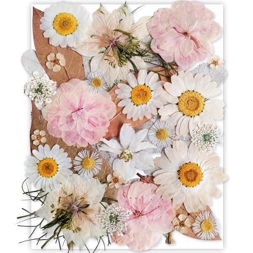 13 Types 37pcs White Dried Pressed Flowers for Resin Molds,Real Natural Pressed Flowers for DIY Art Crafts,Candle Making, Nails Décor,Soap Making, Phone Case - color: White