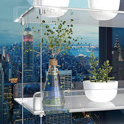 3-Tier Hanging Acrylic Plant Shelves for Windows | Each Tier 16 Inch Long, Height Adjustable Plant Stand, Clear Hanging Plant Stand for Indoor Windows, Grow Herbs,Flower - color: 3 Tier
