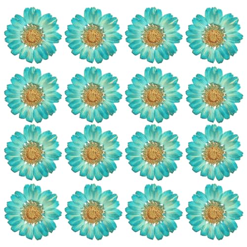 PATIKIL 48 Pcs Dried Pressed Flower Natural Dried Daisy Flower for DIY Art Crafts House Decoration Nails Decoration,Color Absorbing Blue - color: Color Absorbing Blue