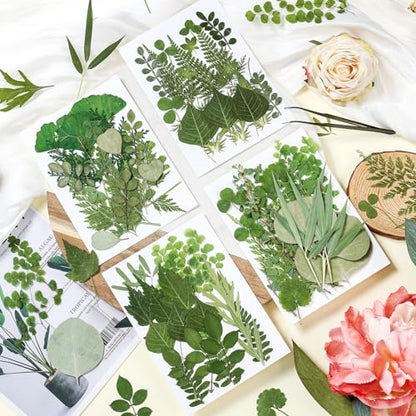 86Pcs Dried Pressed Flowers Leaves for Crafts, Real Natural Dried Leaves Pressed Leaves Bulk Dry Leaves for Resin, DIY Art, Jewelry, Candle & Soap Making, Scrapbook Bookmarks Ideas – Tweezers Included - color: Green 86pcs
