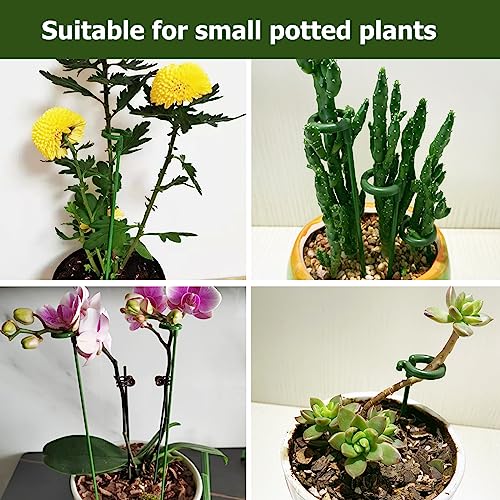 Pack of 30 Small Plant Stakes for Indoor Plants 3 Size - size: A Set(6.7/10.7/14.6 in)