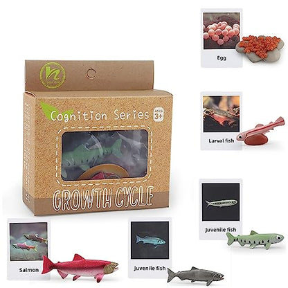 Montessori Life Cycle Animal Plastic Insect Figurines Learning & Education Toys for Kids, Preschool Activities (Salmon) - color: Salmon