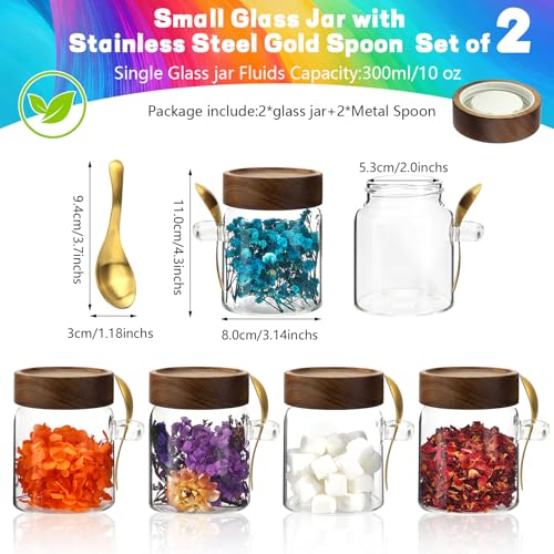 10 oz Glass Jars Set of 2, Spice Jar Round Storage Canister with Airtight Wooden Lid Clear Glass Food Jar for Pantry Sugar Tea Coffee Bean Spice Cookies Bath Salts (10oz/300ml-2 pack-with spoon) - color: 10oz/300ml-2 pack-with spoon