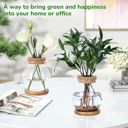 Plant Propagation Station, Hydroponic Glass Container Vase Jars, with Saucer for Desks, Houses, Garden Decorations, Home Kitchen Decorations and Gifts for Plant Lovers
