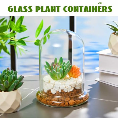 2 Pcs 4.7 x 6.3 Inch Glass Terrarium Dome Cloche with Air Hole & Glass Base, Clear Terrarium Containers Ventilated Plant Humidity Dome for Carnivorous Plants Orchids Tropical Cuttings, No Leakage - size: 4.7 x 6.3 Inch