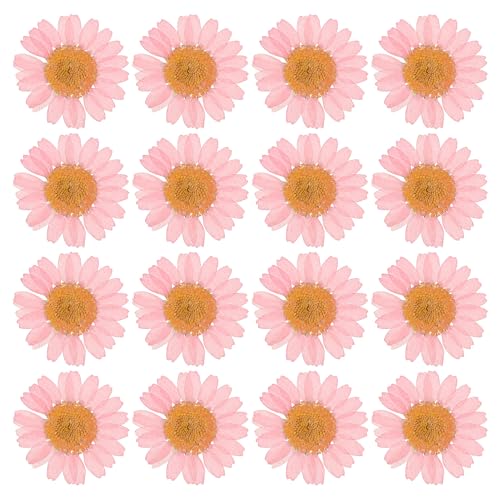 PATIKIL 48 Pcs Dried Pressed Flower Natural Dried Daisy Flower for DIY Art Crafts House Decoration Nails Decoration,Pink - color: Pink