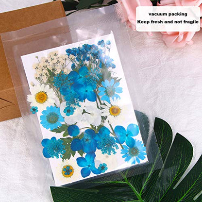 Augshy Blue Dried Pressed Flowers - Natural Real Colorful Dry Flowers for Resin Jewelry Nail Art Craft DIY - color: Blue