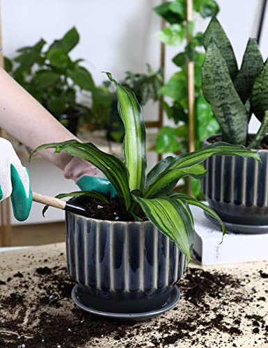 AISBUGUR Plant Pots 6 inch Ceramic Pots for Indoor Plants Set of 2 Flower Pots Unique Crackle Glaze Design Plant Pots with Drainage Hole and Saucer Come with Drainage Nets (Grey) - color: Gray