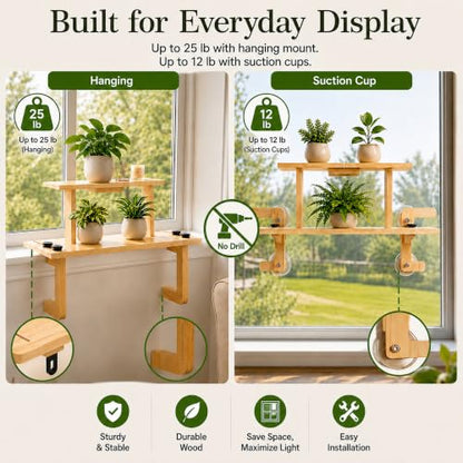 2-Tier Plant Display Shelf, Window Plant Shelves & Window Shelf for Plants
