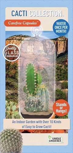 Cactus Terrarium Grow Kit by Unique Gardener - DIY Indoor Hanging or Standing Garden Starter Set with Complete Supplies, Easy to Grow Terrariums for Home Decor! - style: Cactus Collection