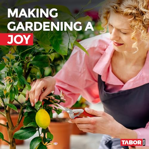 TABOR TOOLS K17A Pruning Snips – 7.5" – Stainless Steel Flower Pruning Scissors for Gardening | Floral Snips and Pruners for Deadheading, Trimming & Harvesting Herbs, Flowers, Fruits or Vegetables - style: K17A Florist Scissors