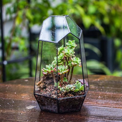 NCYP Glass Terrarium - Glass House Shape Terrarium with Lid, and Geometric Open Glass Terrarium Planter, for Small Succulent Cacti, Garden Tabletop Decor (No Plants)