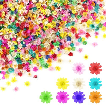 1000 PCS Mini Dried Flowers for Resin, Small Dried Flowers for Crafts, Mini-Dried Flower Bulk for Resin Art, Jewelry, Candle Making, Soap Making and DIY Crafts