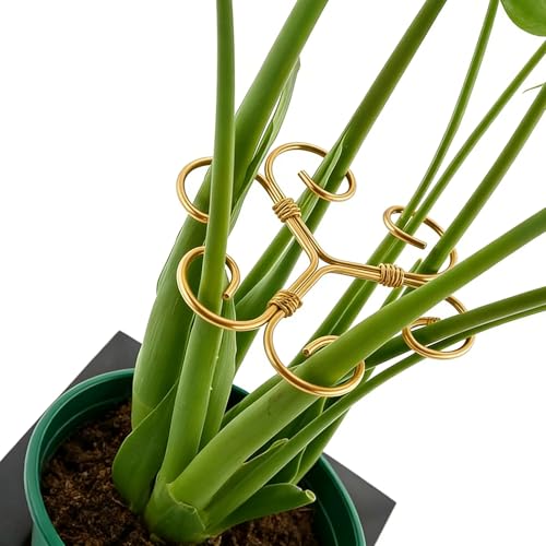 YAPROMO 4PCS Iron Monstera Plant Support - 4.1IN Plant Support Stakes for Indoor Plants, Plant Stakes and Supports, Ideal Plant stem Support for Turtle Shell Bamboo & Houseplants (A+B) - style: A+B
