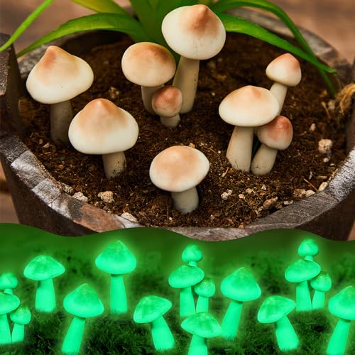 Taiyin 5 Pcs Glow in Dark Mushroom Decorations Waterproof Garden Yard