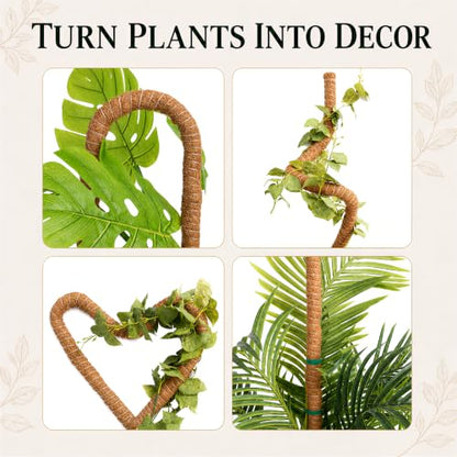 2 Pack 30" Moss Pole for Plants – Moss Pole Monstera Plant Support - size: 2-Pack (30'')