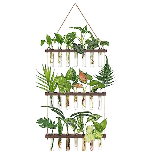 Mkono Plant Propagation Station, 3 Tier Large Brown Wall Hanging Vase Tubes | Glass Terrarium Planter,Wooden Stand,for Hydroponic Cuttings Flowers,Bathroom Living Room Office Decor,Plant Lovers Gift - color: Brown, size: Large