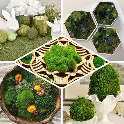 Efavormart 50g Bag Preserved Green Reindeer Moss, Soft Natural Decorative Moss for Terrariums, Fairy Gardens and Potted Plant Soil Cover