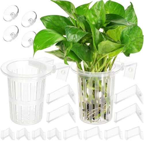 Borlech New Upgraded Large Aquarium Plant Holder with 1.57-inch Extension Hooks and Suction Cups for Fish Tank Aquaponic Plant Cultivation and Aquascape Accessories Decorations (2 Pack) Transparent - color: Transparent-2 Pack