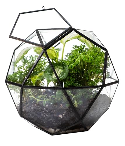 KraftStories Clear Glass Terrarium with Door | Sphere Design Container | Ideal Planter for Moss and Indoor Plants | Maintains Humidity | Self-Sustaining Indoor Garden Ecosystem (Only Terrarium) - style: Sphere