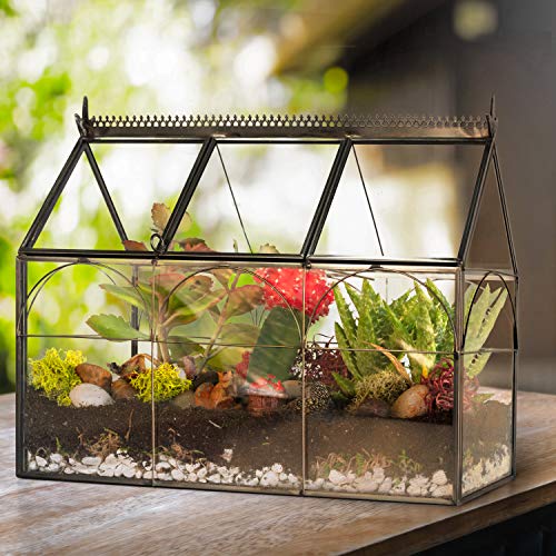 D'Eco Glass Greenhouse Plant Terrarium, Centerpiece & Wedding Letterbox | Tabletop Geometric Planter Terrarium, Dims 10x4.5x9", Fill with Succulents, Moss, Air Plants, Ferns & Seasonal Home Decor - size: Greenhouse
