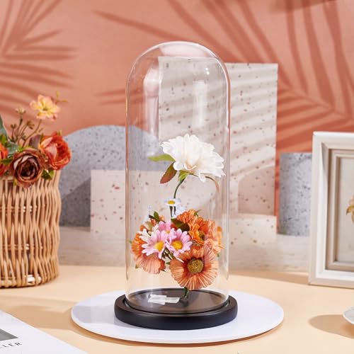 UNICRAFTALE Clear Cloche Glass Dome with Base 12 Inch High Handmade Glass Cloche Antique Collectibles Decorative Bell Jar for Succulents Plants Medals Photos Fairy Lights Table Decor - size: 14x31cm