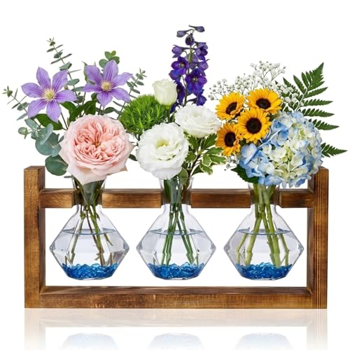 Propagation Stations,3 Bulb Glass Plant Propagation Station with Wooden Stand,Propagation Vases for Plants,Plant Propagation Tubes,Glass Planters for Indoor Plants,Vintage Desk Décor Gift (Diamond) - color: Diamond