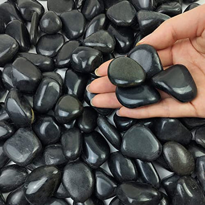 FANTIAN 2 lbs Black Pebbles for Plants, 0.8-1.2 Inch Small Bag Stones | Decorative Black River Rocks for Plants, Landscaping, Aquarium, Vase Fillers, Garden, Planter Filler for Artificial Plants - size: 0.8-1.2 inch, style: 2.0 Pounds
