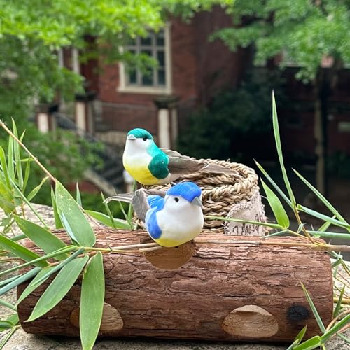 12pcs Artificial Birds Clip on Birds for Crafts Decorative Christmas Tree Ornaments Yard Patio Wreath Designs Flower Floral Arrangements Garden Home Decor (Clip Birds)