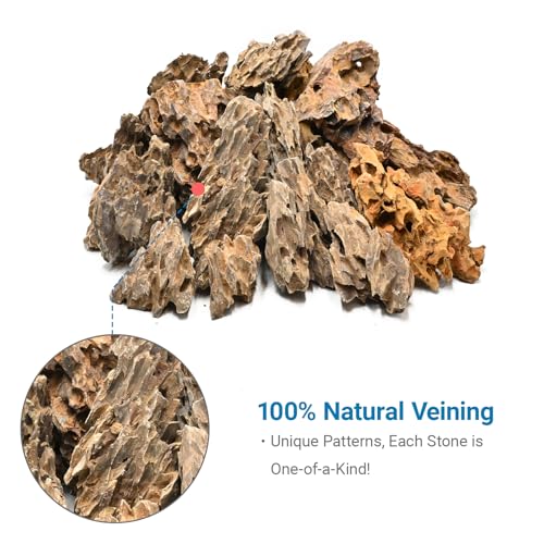 Natural Stone 10lb Fish Tank Rock for Aquarium Landscaping Models Fish Tank Decoration,Freshwater Planted Aquariums and Amphibian Enclosures-2-6 inches - size: 10LB(2-6 inches)