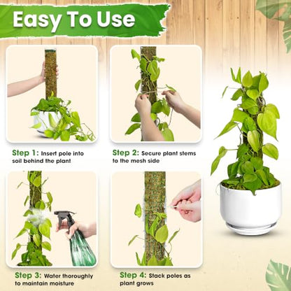 DUSPRO 2 Pack 16.5" D-Shaped Plastic Stackable Moss Poles - color: Plastic D shaped