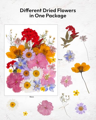 Dried Flowers, Resiners 100Pcs Pressed Flowers for Craft Real Natural Dried Flowers Dry Leaves Kit for DIY Making Crafts Resin Soap Candle Scrapbook Supplies Card Making Jewelry - color: Brilliant 100pcs