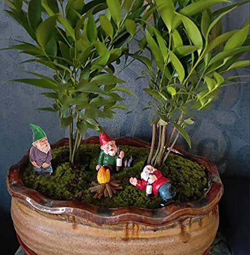 Tirifer 4Pcs Miniature Garden Gnome Set, Wizard Gnome 3D Dwarves Fairy Garden Gnome Statue Kit, Mini Outdoor Sculpture Garden Figurine Decoration for Lawn Yard Balcony Porch Patio