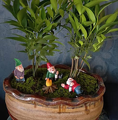Tirifer 4Pcs Miniature Garden Gnome Set, Wizard Gnome 3D Dwarves Fairy Garden Gnome Statue Kit, Mini Outdoor Sculpture Garden Figurine Decoration for Lawn Yard Balcony Porch Patio