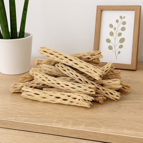 Koyal Wholesale Natural Cholla Wood Aquarium Branches, Airplants Decor, Reptile Perch, Untreated Cholla Wood Piece, Aquarium Driftwood Leopard Gecko Tank & Hermit Crab Accessories (2lb Bag) - size: 2lb Bag