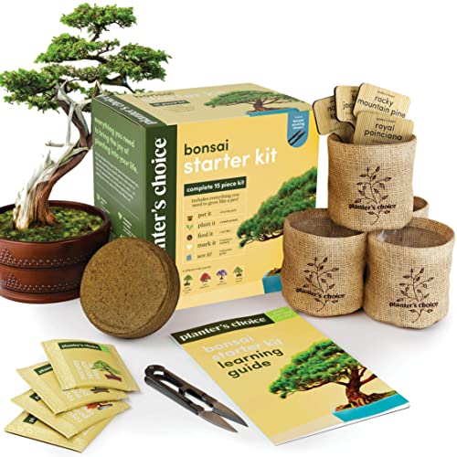 Bonsai Tree Kit for Beginners & Plant Lovers - Grow Your Own Bonsai | 4 Species Starter Kit with Burlap Pots, Shears, Soil Disc, Markers & Guide, Gift for Mom or Grandma