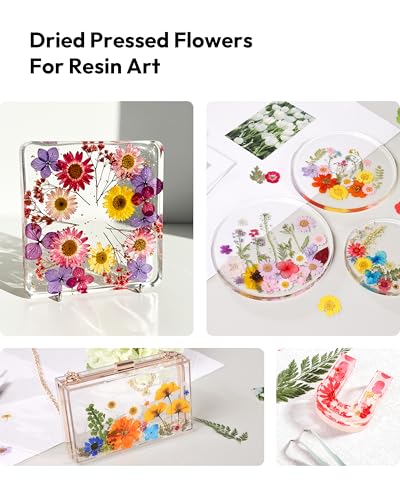 Dried Flowers, Resiners 100Pcs Pressed Flowers for Craft Real Natural Dried Flowers Dry Leaves Kit for DIY Making Crafts Resin Soap Candle Scrapbook Supplies Card Making Jewelry - color: Brilliant 100pcs