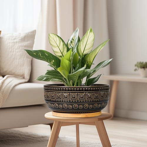 G EPGardening 8 Inch Ceramic Succulent Planter Pots for Indoor Plants Round Shallow Bonsai Planter Pot with Drainage and Bamboo Saucer, Black - color: Black