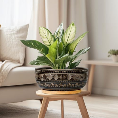 G EPGardening 8 Inch Ceramic Succulent Planter Pots for Indoor Plants Round Shallow Bonsai Planter Pot with Drainage and Bamboo Saucer, Black - color: Black