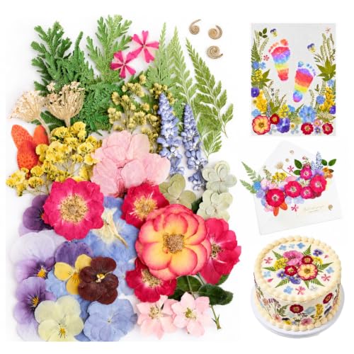 Pressed Dried Flowers for Crafts, 50 Pcs Real Dried Flowers for Resin - color: Romantic
