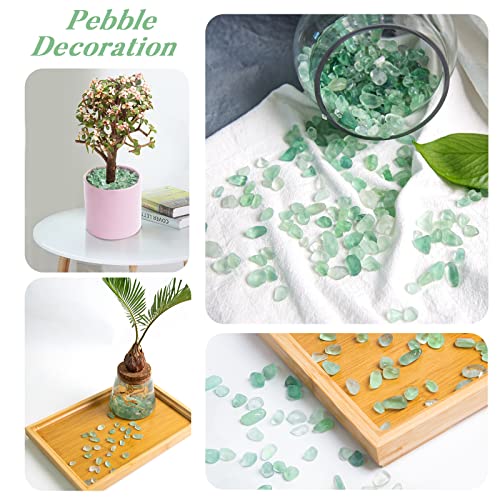 QICQDRAM Polished Gem Stones Rocks Green Flourite Crystals Natural 2LB | Small Tumbled Stones Crystal Chips Bulk for Healing Crystals Fish Tank Gravel Vase Filler (900g/31.74oz) - color: Green Flourite, size: 2LB